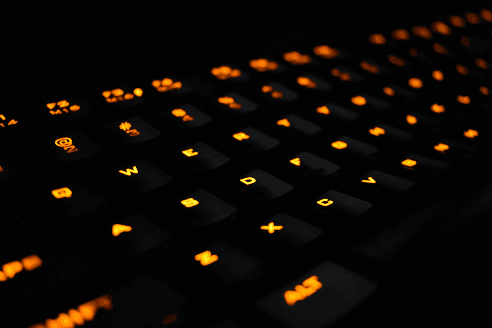 Arbitrum Stylus: The WASM Bet That Changes Who Can Build Onchain