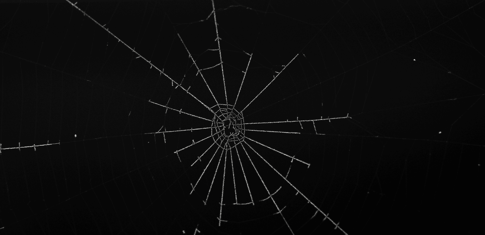 Farcaster: Social Graphs That Survive Platform Death